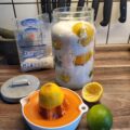 Saltede økologiske citroner og lime. Have og Husflid blog
